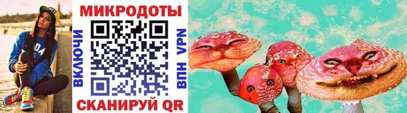 Купить  Грязи  Псилоцибиновые грибы Cubensis 